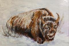 Carol-Ann-Oporto-Survival-Animal_Wildlife-Oil-12x-14-w_o-frame-90