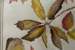 Zenka-Sommers-Fall-Leaves-125