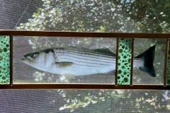 Striped Bass Ted Ricchiute-$125-enamel on glass