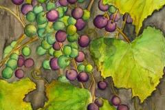 Clara-Sue-Beym_Grapes-of-Past-Watercolor-size-16x20-_250